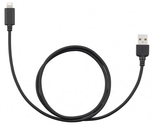 JVC Lightning - USB Cable KS-U62