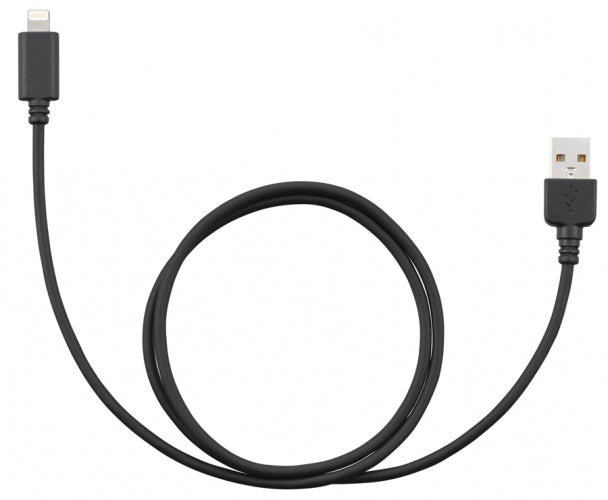 JVC Lightning - USB Cable KS-U62