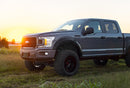 Fender Flares | Defender | FM Ford Performance Blue | Ford F-150 (15-20)