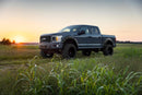 Fender Flares | Defender | FM Ford Performance Blue | Ford F-150 (15-20)