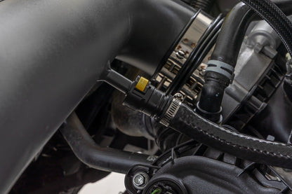 Cold Air Intake Kit | 5.0L | Ford  F-150 2WD/4WD (2021-2025)