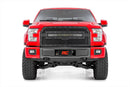 Mesh Grille | 30" Dual Row LED | Black Ser | Ford F-150 2WD/4WD (2015-2017)