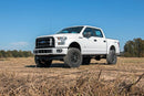6" Ford F-150 SUSPENSION LIFT KIT (15-20 F-150 2WD)